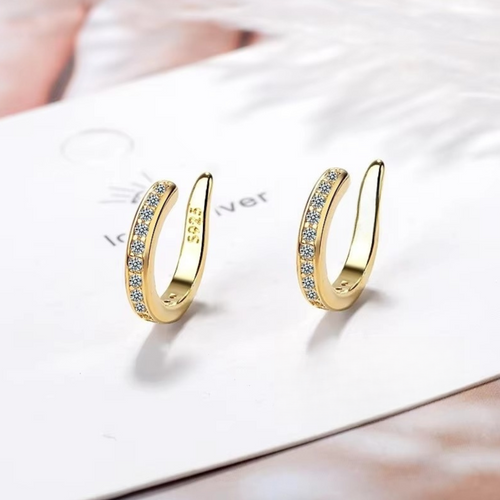 Earfix – Orecchino riutilizzabile per un Look Naturale che Armonizza il Tuo Viso